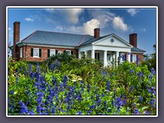 Boone Hall Plantation  