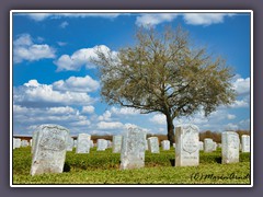 Chalmette National Monument - auf dem Friedhof wurden 15 300 gefallene Soldaten bestattet