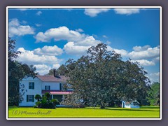 Hofwyl Broadfield Plantation Georgia - Rice Plantation