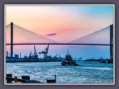 Savanna River - Talmadge Memorial Bridge