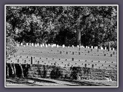 Shiloh National Cemetary am Tennessee River