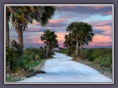 Abendstimmung am Black Point Wildlife Drive