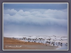 Anastasia State Park - ein Unwetter zieht auf