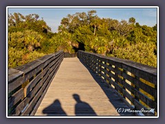 Fishing Pier - Fort Island Beach