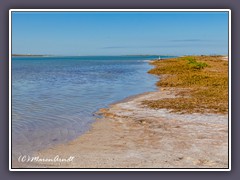 Fort de Soto North Beach