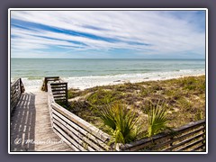 Honeymoon Island