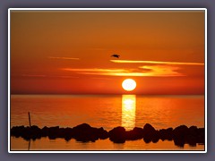 Sonnenuntergang Fort Island Beach