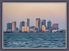 Tampa City im Abendlicht