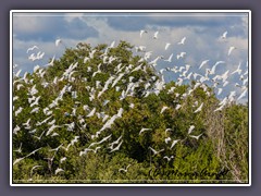 Everglades Nationalpark