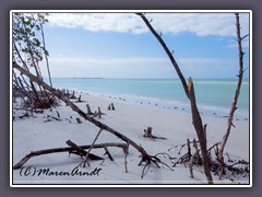 Endloser Strand im Fort de Soto County Park