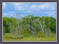 Everglades Nationalpark