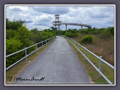 Everglades Shark Valley Aussichtsturm