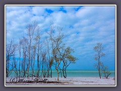 Fort de Soto Strandlandschaft