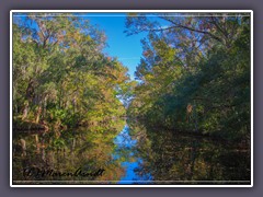 Homosassa Wildlife State Park