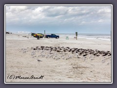 Mit dem Auto an den Strand - Daytona Beach