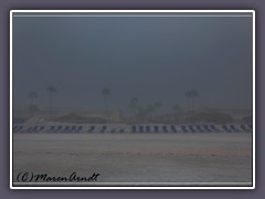 Nebel am Strand von Lido Key