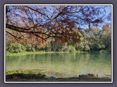 Ocala National Forest