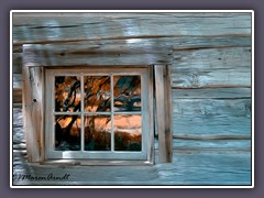 Das Fenster im Wald