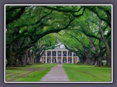 New Orleans Oak Alley Plantation