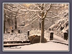 Winter im Bremer Bürgerpark