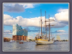 Zurück im Herzen von Hamburg