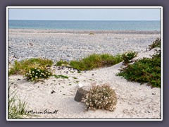 Nordstrand - Düne