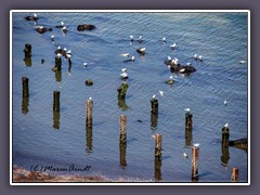 Sitzplätze im Meer