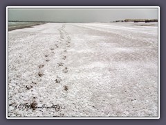 Spuren am Strand