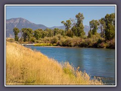 Snake River im Swan Valley