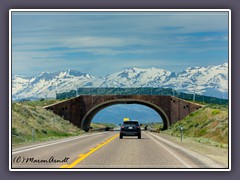 Wildschutzbrücle am Great Basin Highway bei Wells