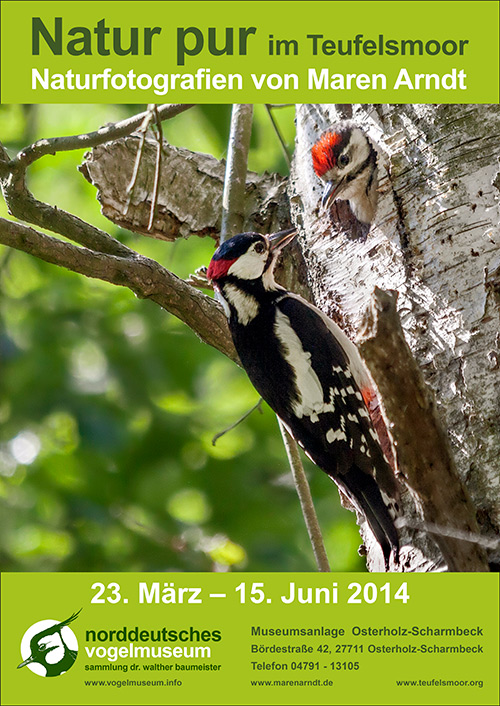 Ausstellung im Norddeutschen Vogelmuseum OHZ 2014