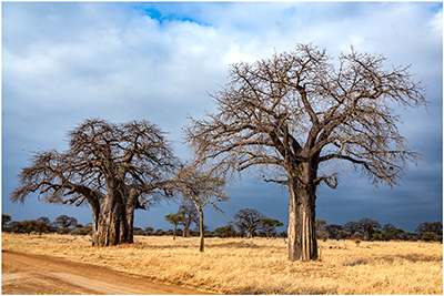 Tanzania, Africa