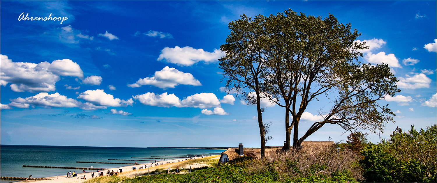 Ahrenshoop Strand