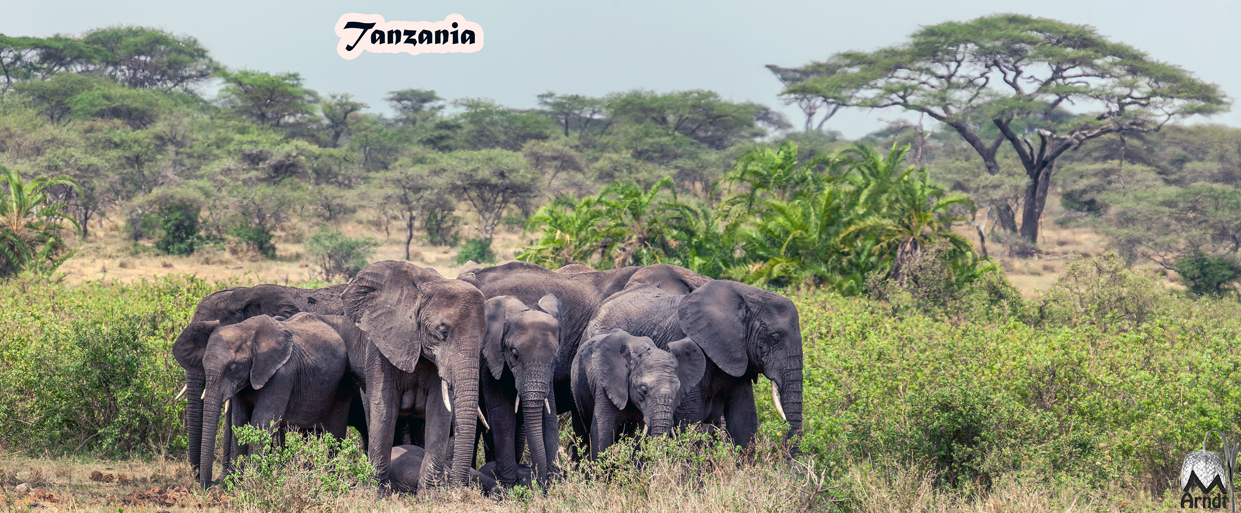 Tanzania