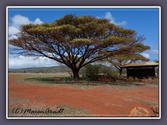 Am Russischen Fort  Elizabeth  an der südlichen Küste von Kauai 