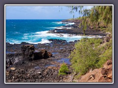 Am Spouting Horn Park