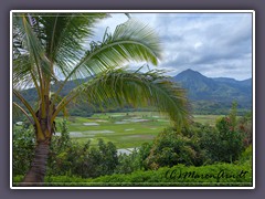 Hanalei Lookout