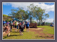 Hühner füttern am Waimea Lookout