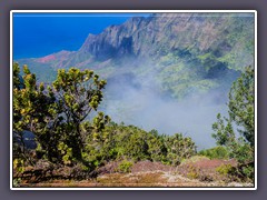 Nebel im Tal - Lookout Pu u o Kila