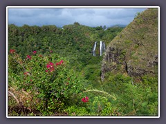 Opaeka Falls bei Kapaa