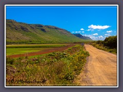 Road to Polihale State Beach