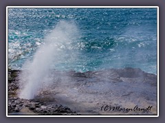 Spouting Horn