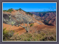 Waimea Canyon 