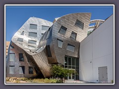 Moderne Architektur von Frank Gehry - Las Vegas Downtown