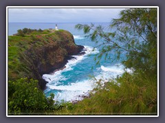 Hawaii - Kilauea Point Natural Wildlife Refuge Brutgebiet der Rotfusstölpel 