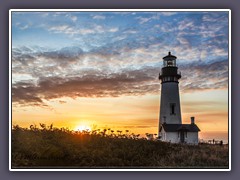 Oregon - Yaquina Light auf der Halbinsel Yaquina Head 