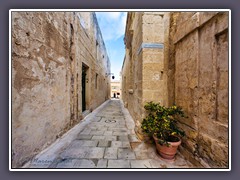 Mdina - The Mdina Experience