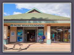 Auf zum Whale Watching mit der Pacific Whale Foundation