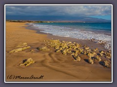 Ma' alaea Beach