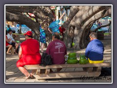 Plaza in Lahaina mit Banyanbaum